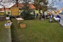 Staroesk Vnoce 2013 foto-a-019