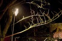Staroesk vnoce foto-124