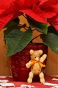 Staroesk vnoce foto-25