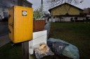 Staroesk vnoce foto-85