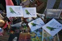 Staroesk Vnoce foto-10