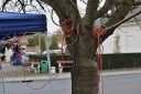 Staroesk Vnoce foto-22